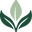 Blessed Botanicals logo