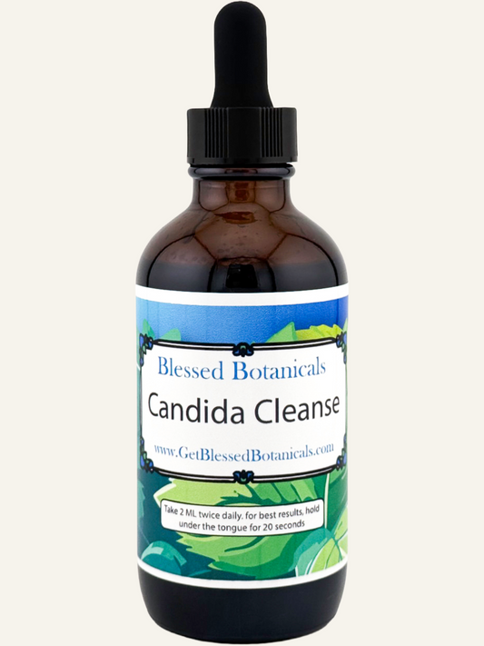 Blessed Botanicals Candida Cleanse herbal extract dropper for gut balance support in amber glass bottle