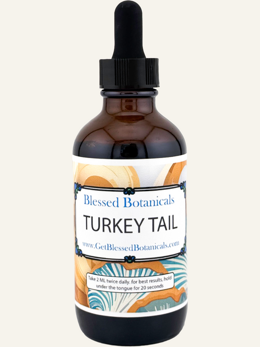 turkey tail mushroom extract herbal tincture bottle blessed botanicals